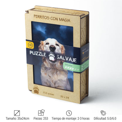 GOLDEN RETRIVER