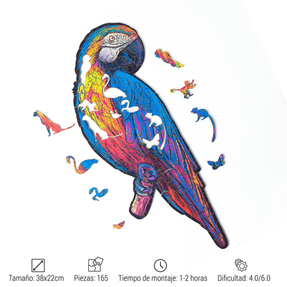 GUACAMAYO