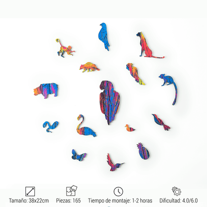 GUACAMAYO
